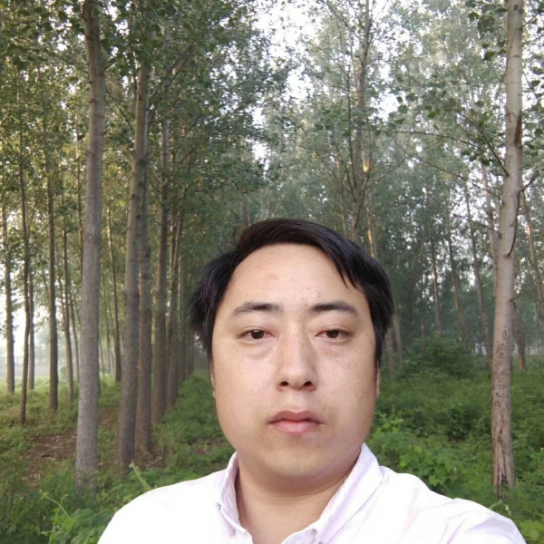 飞鸟等待跳跃的照片