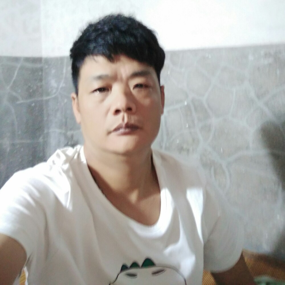 痴情猎豹的照片