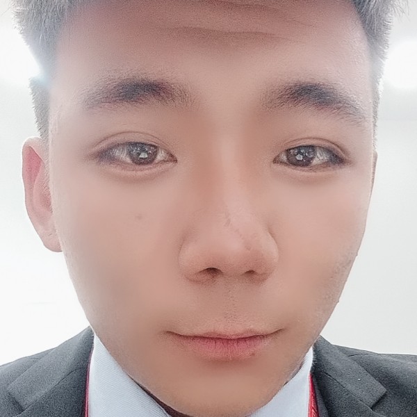 愤怒小猪的照片