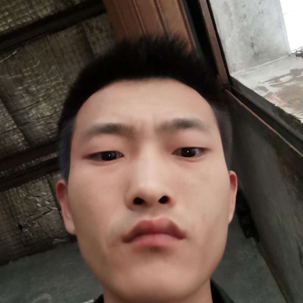 书本爱恋勤恳的照片