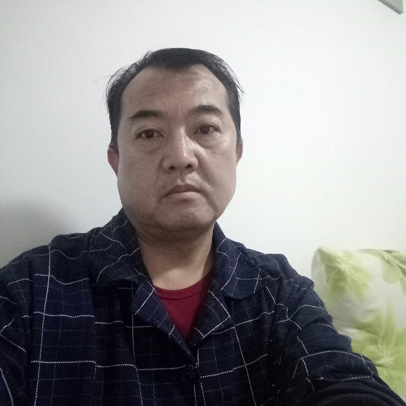 单薄康乃馨的照片