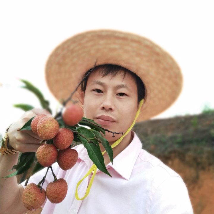 电灯胆爱幸福的照片