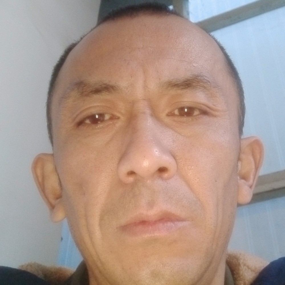 彼岸迎高贵的照片