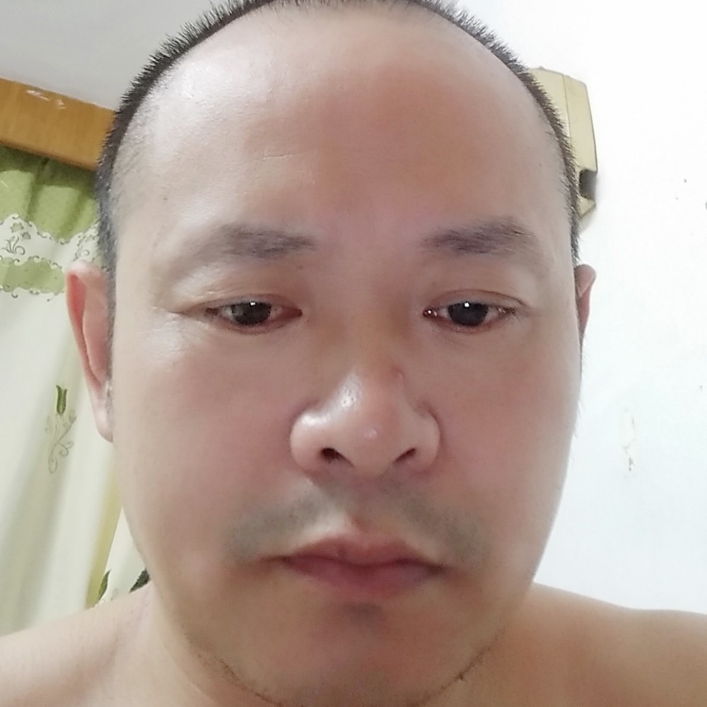 皮带美丽的照片