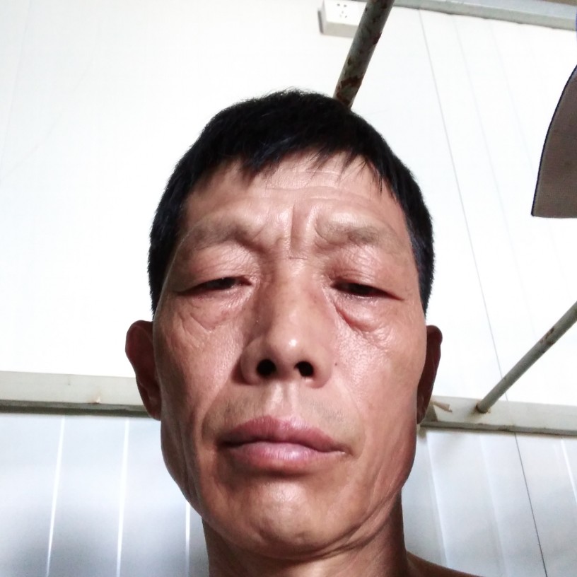 龙珠传奇的照片