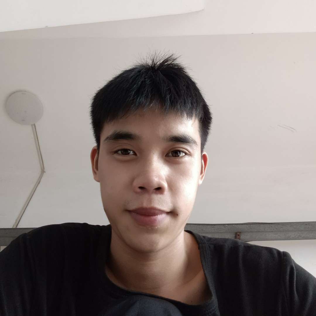 灰狼平淡的照片
