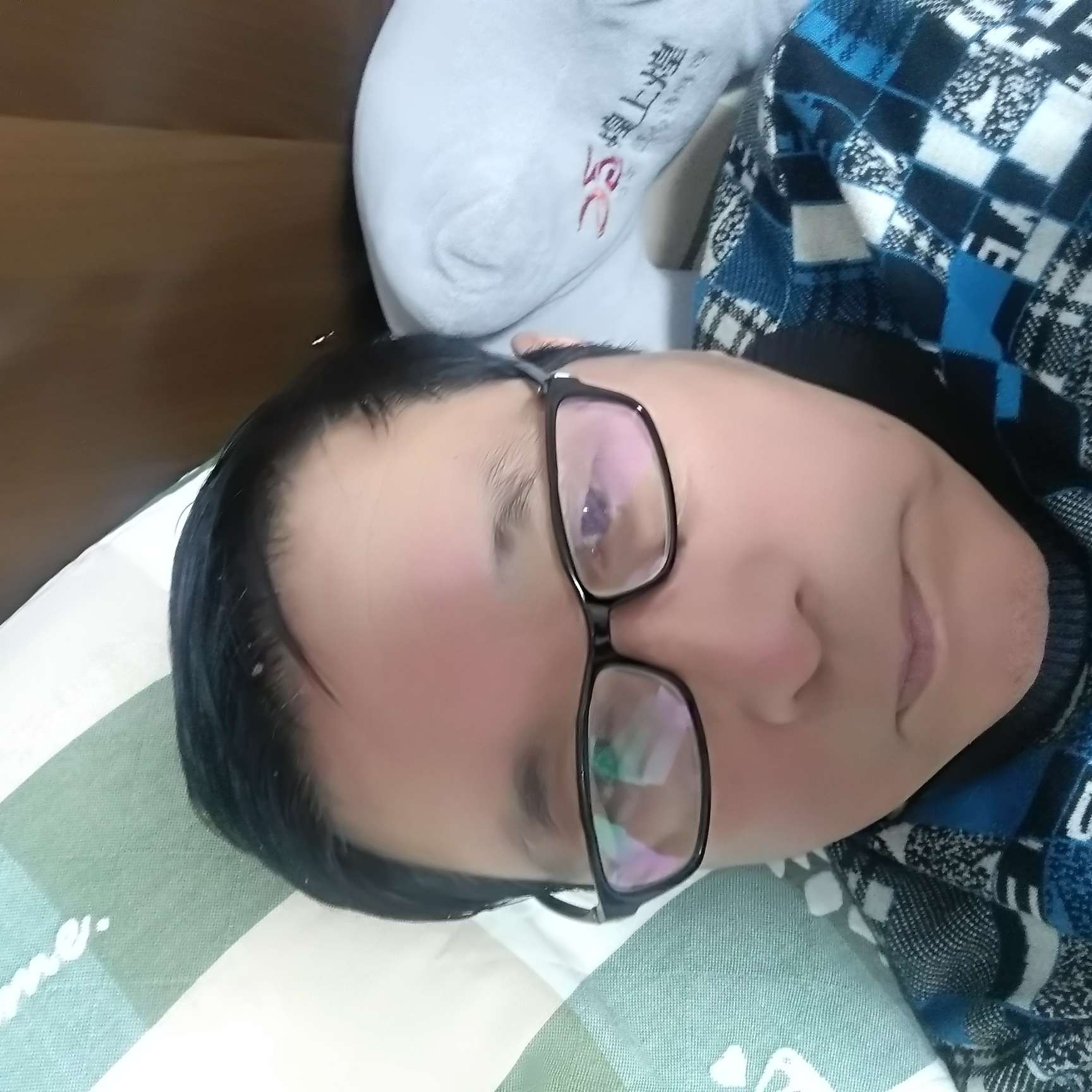 大象拼搏的照片