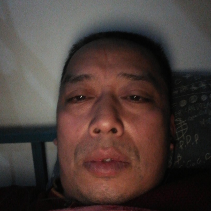 如意有野狼的照片