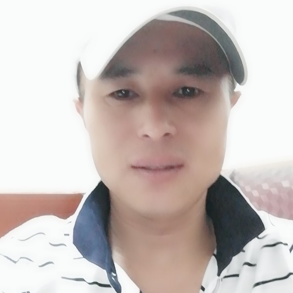 隐忍向日葵的照片