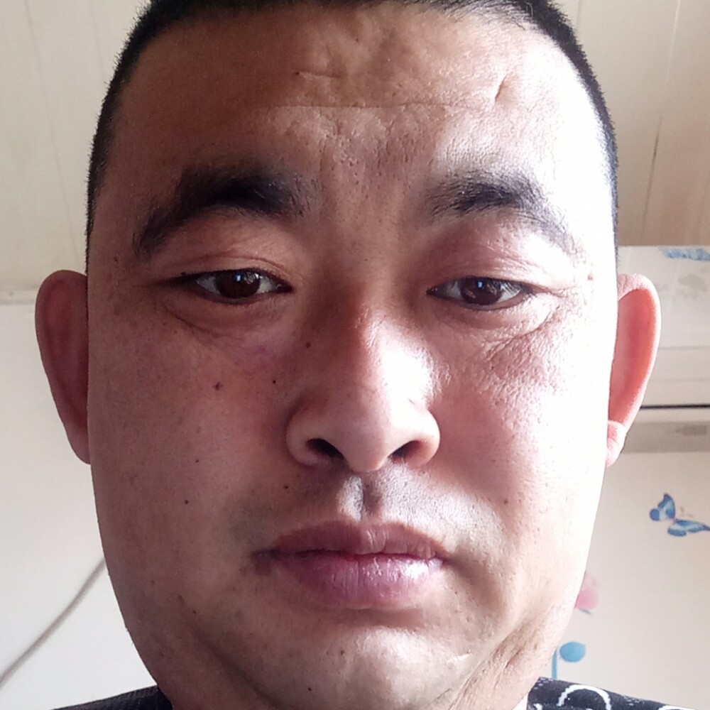 蜜蜂说自然的照片