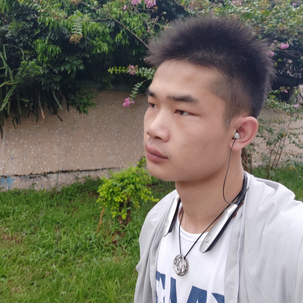 听！风的照片