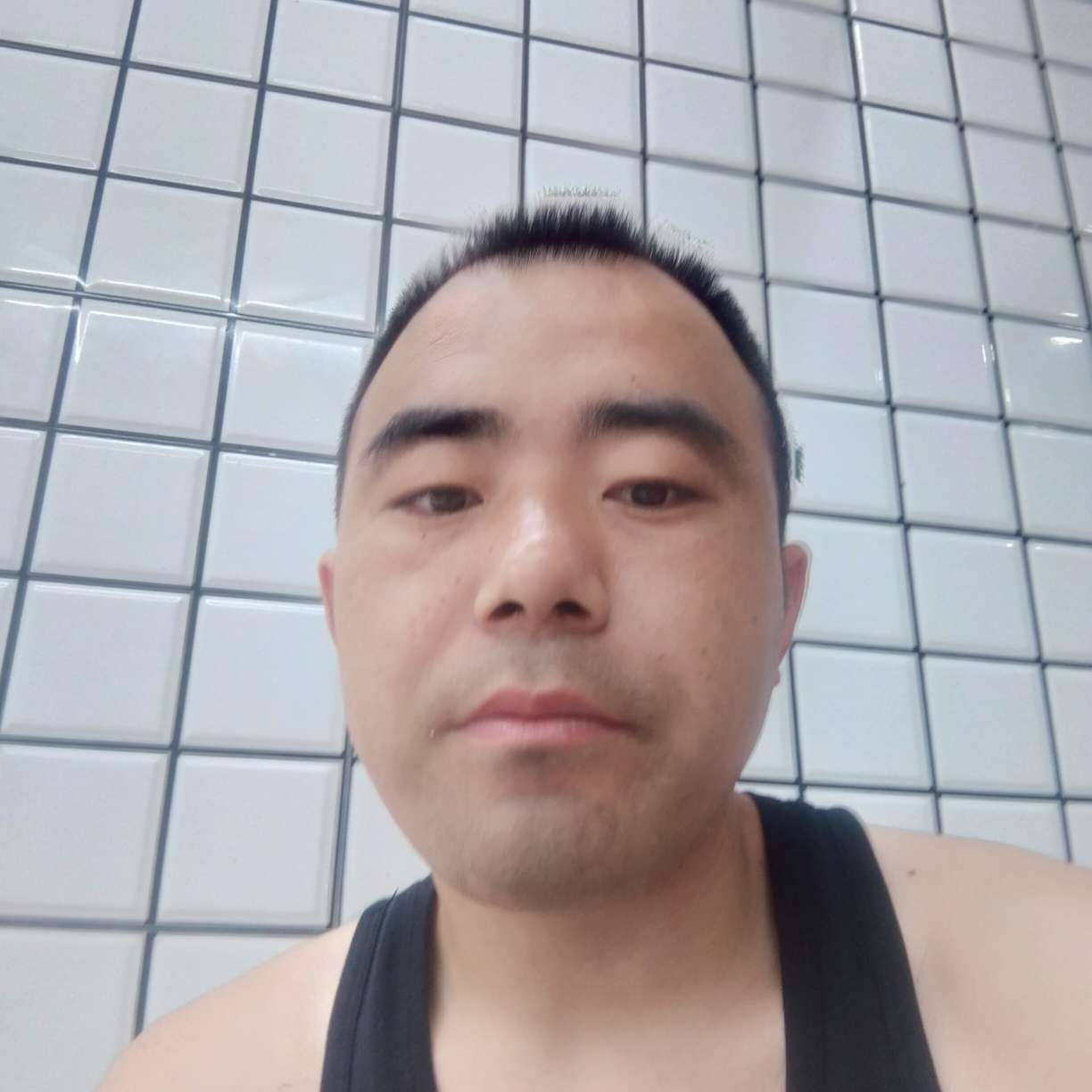 泥猴桃绵密的照片