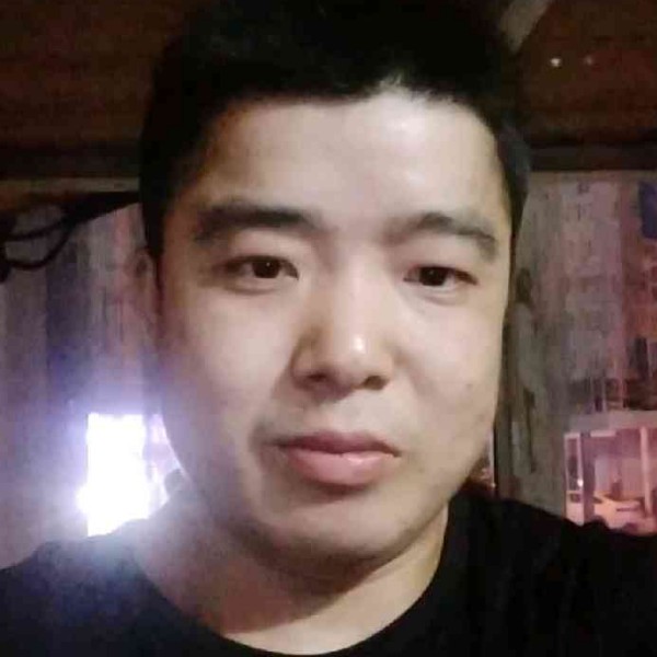 激情改变斑马的照片