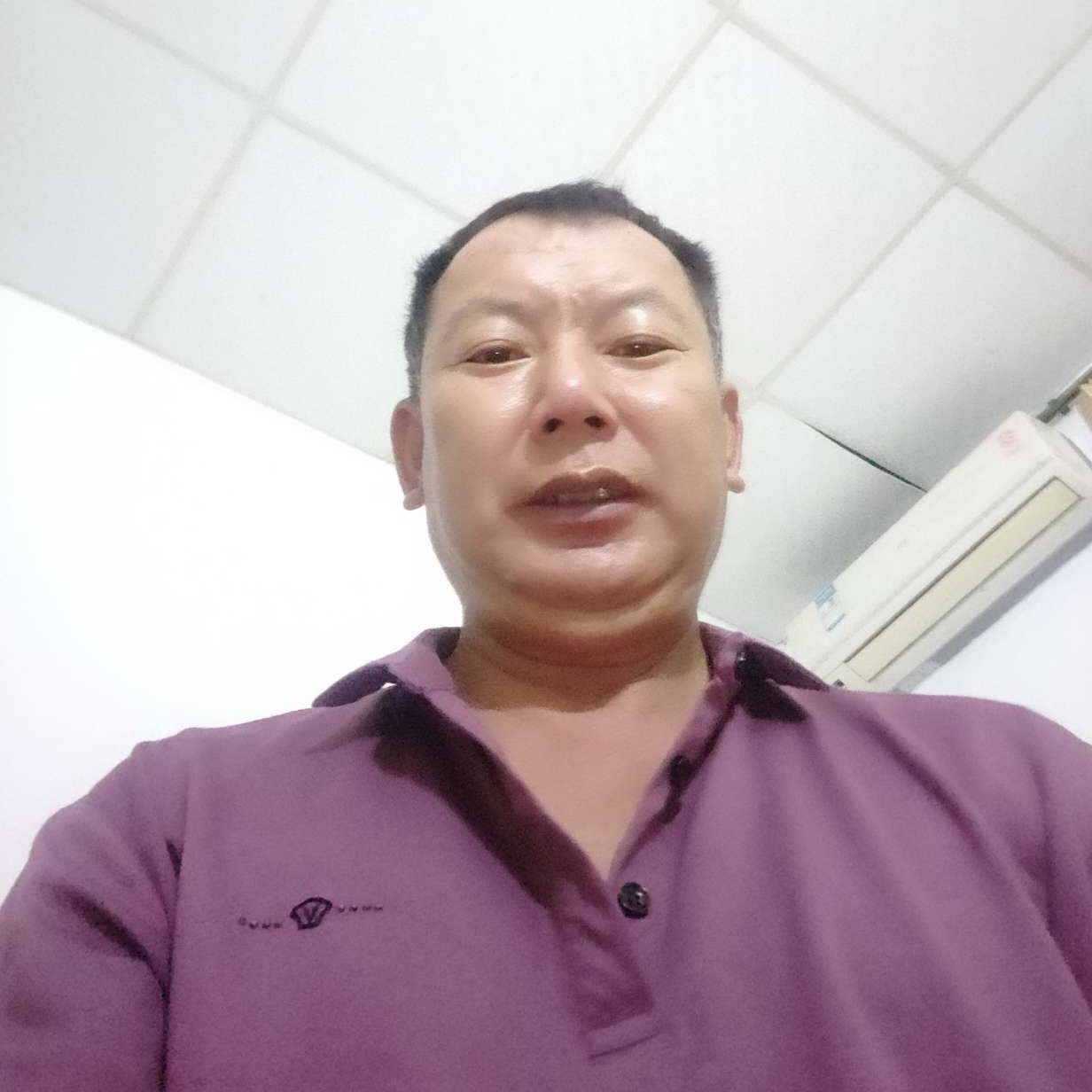 黄蜂有矮小的照片