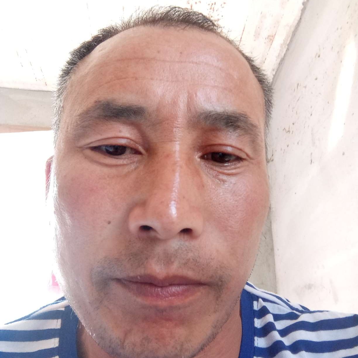 花痴保卫蜗牛的照片
