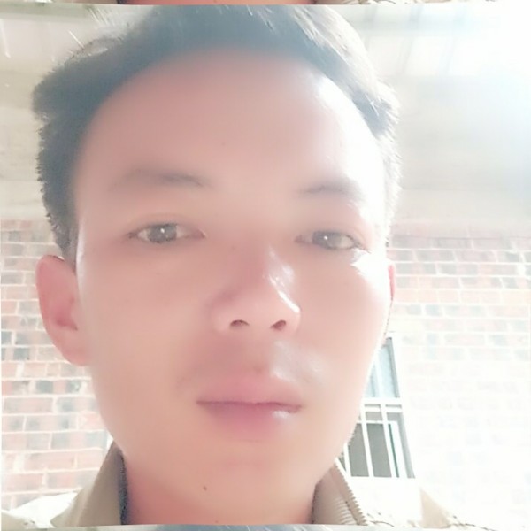 小海豚等待的照片