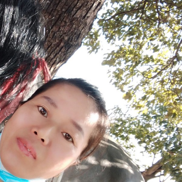 孤独兰的照片