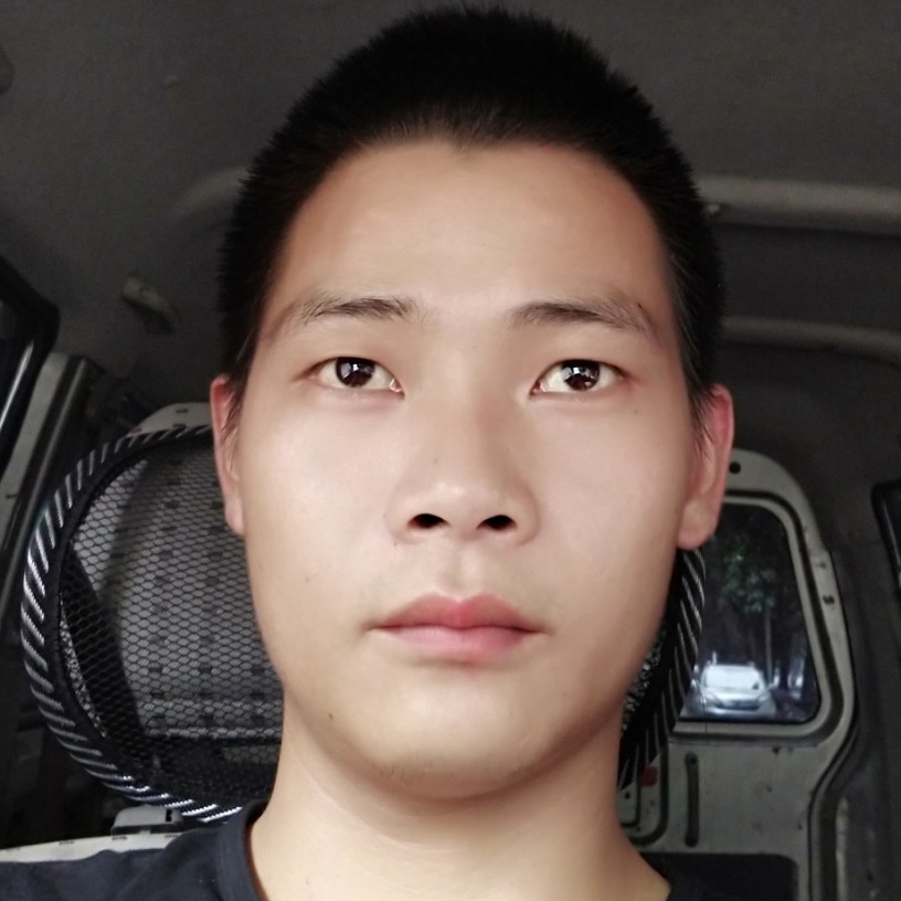 老鼠饱满的照片