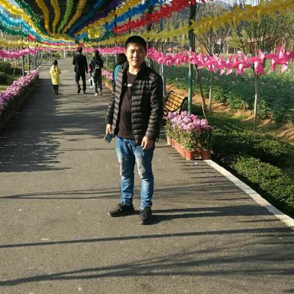 Mao f  j的照片