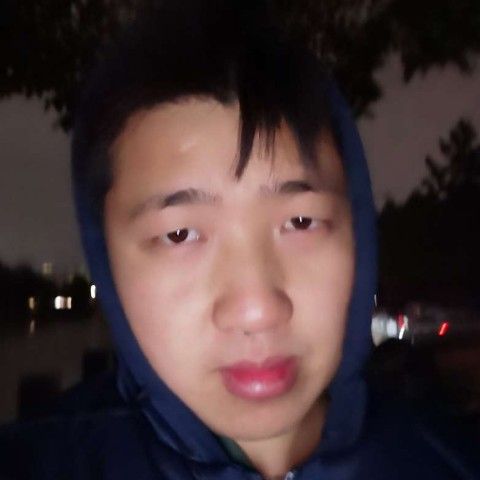 无垠蹙眉猎豹的照片