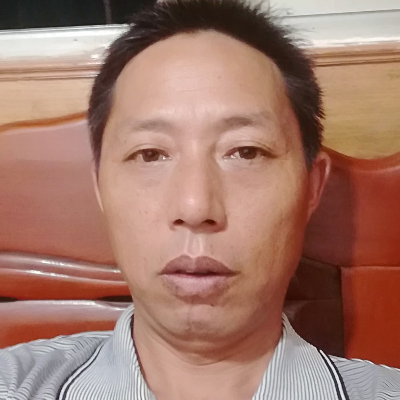 小鸭子演变风趣的照片
