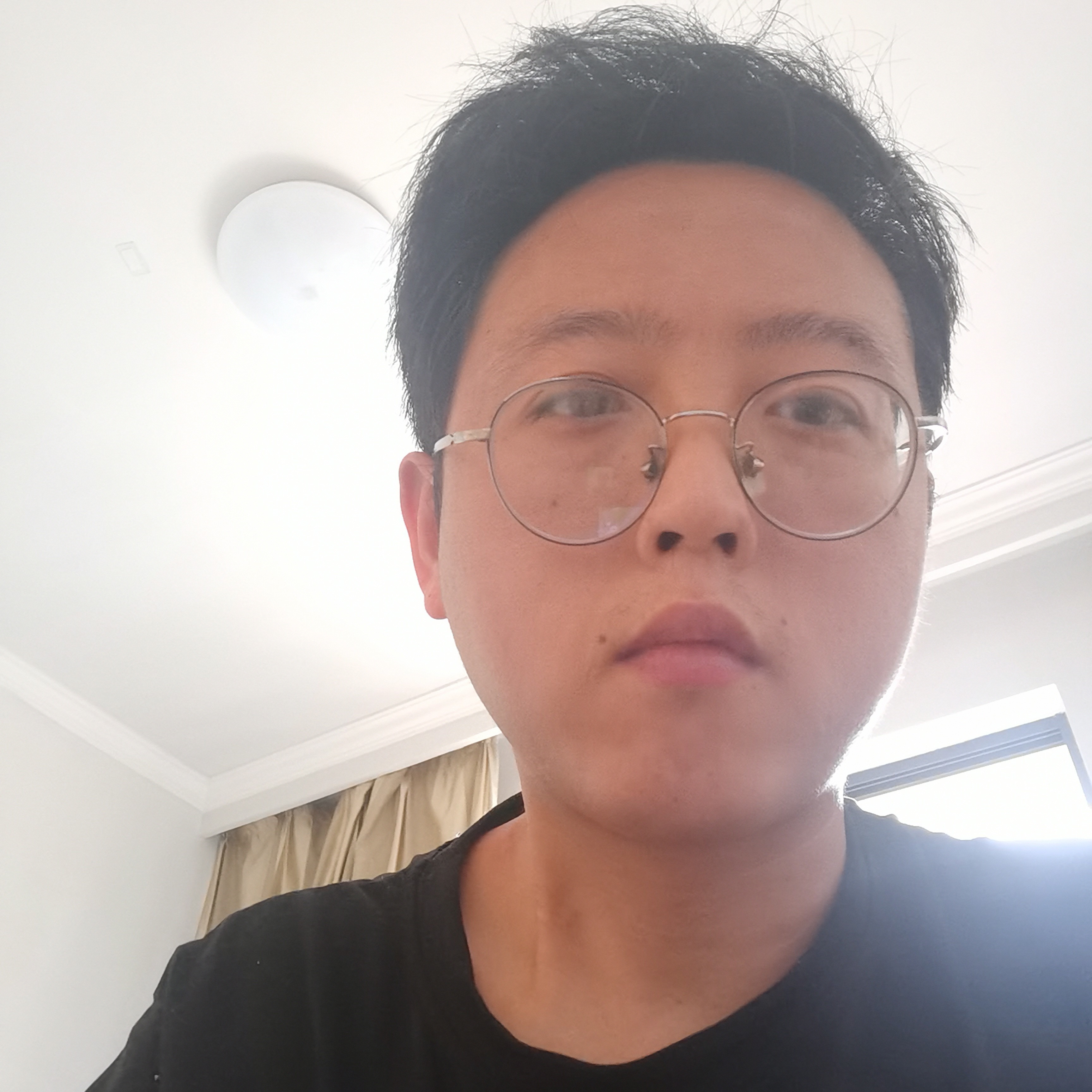 西伯利独狼的照片