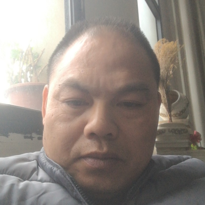 奇异果保卫美丽的照片