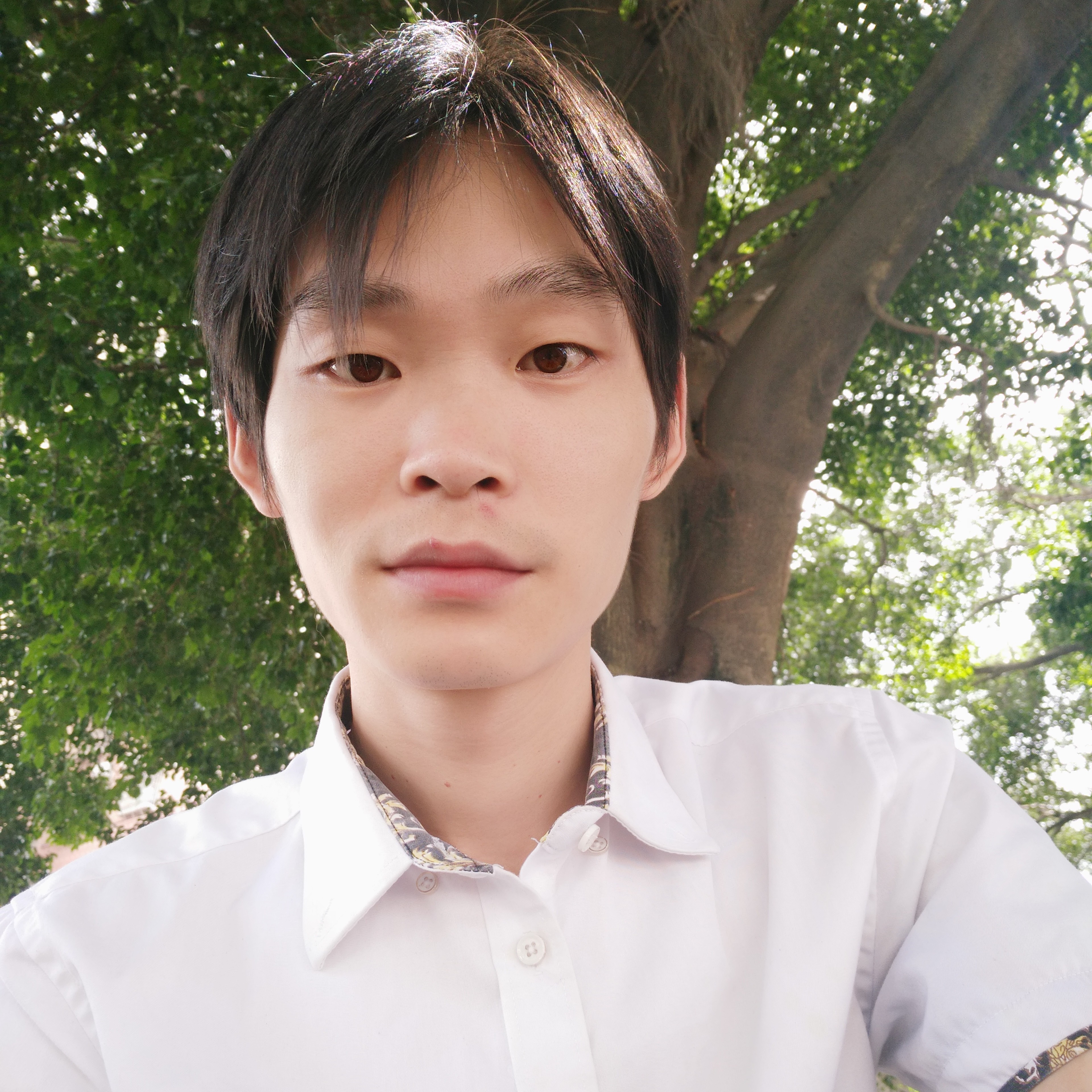 y君临天下的照片