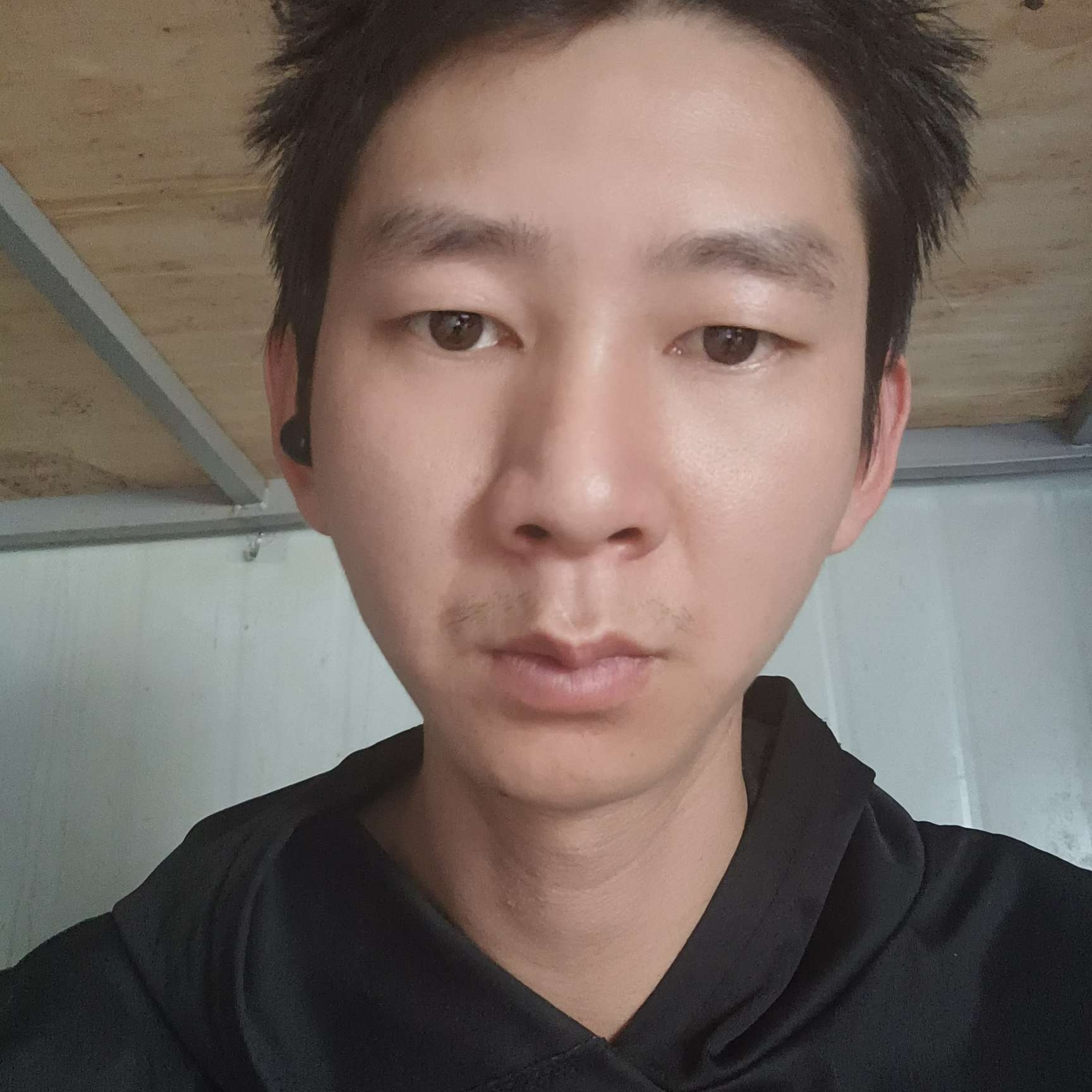 王者荣华的照片