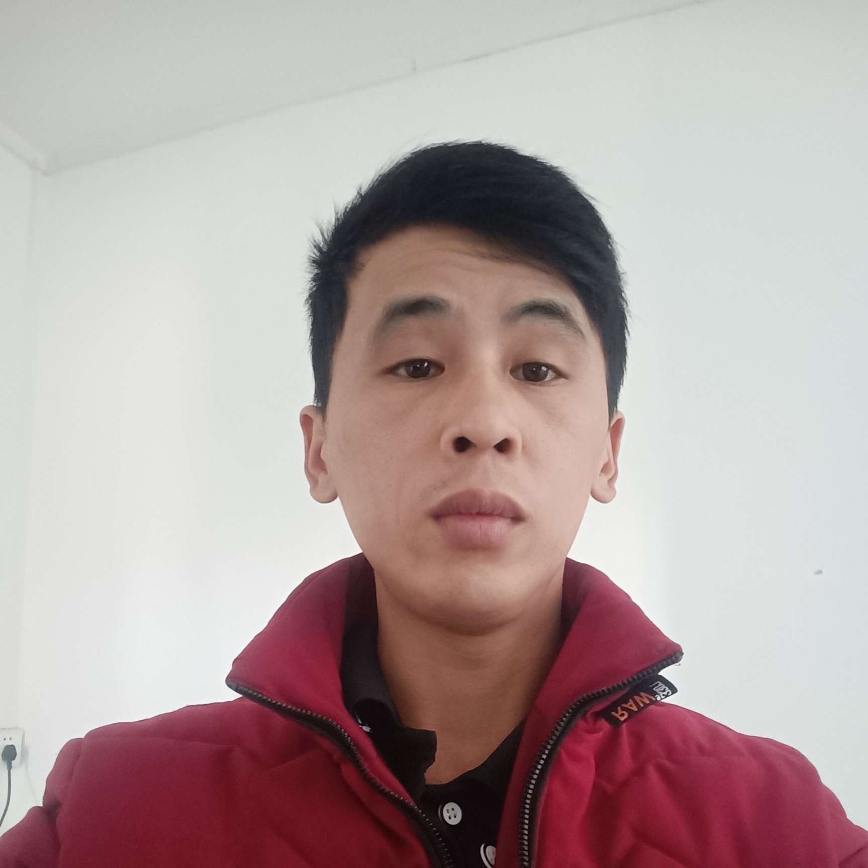爱笑漫步康乃馨的照片