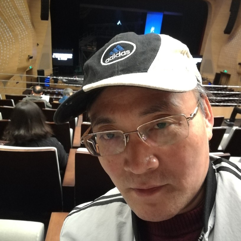 枫叶蹁跹优雅的照片