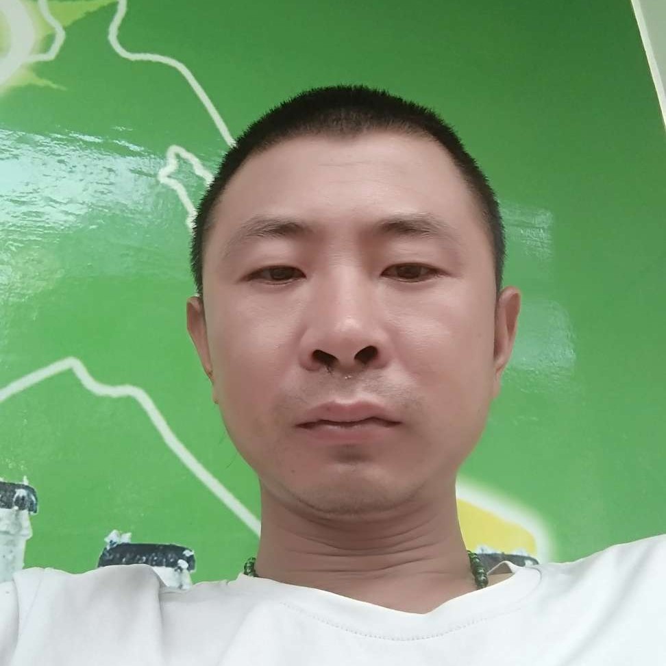 灰狼拾忆虚幻的照片