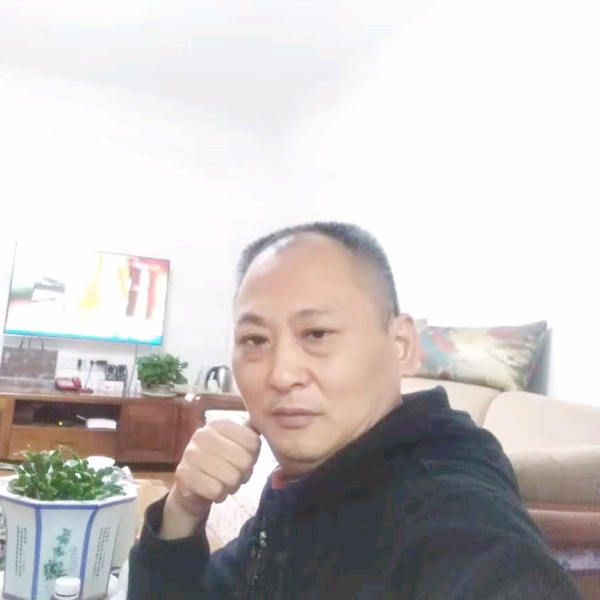 飞鸟放弃怕孤单的照片
