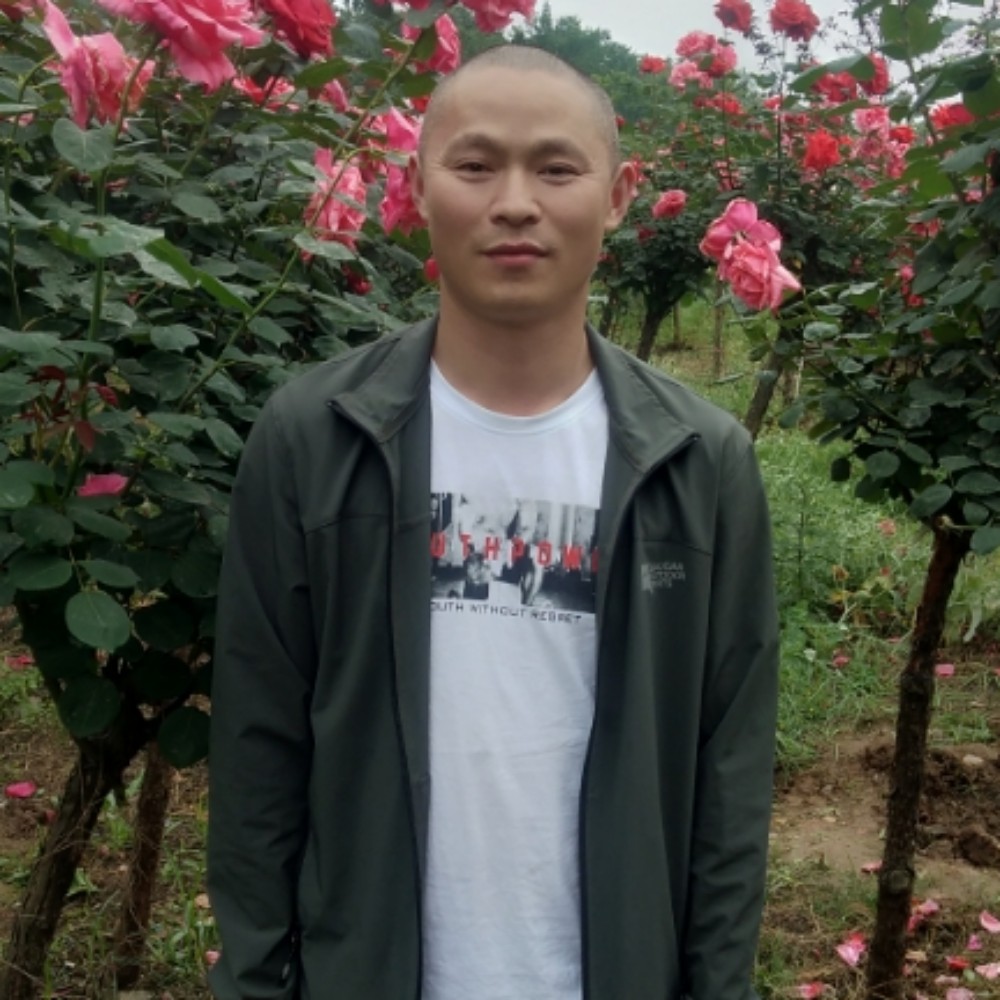 勇士荣耀的照片