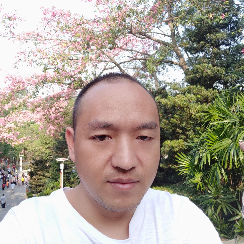 冬日的暖阳的照片