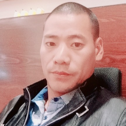 翅膀细腻的照片