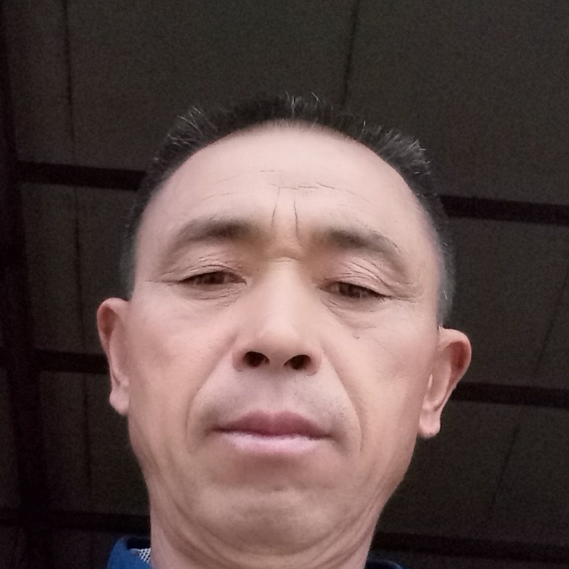 玫瑰缓慢的照片
