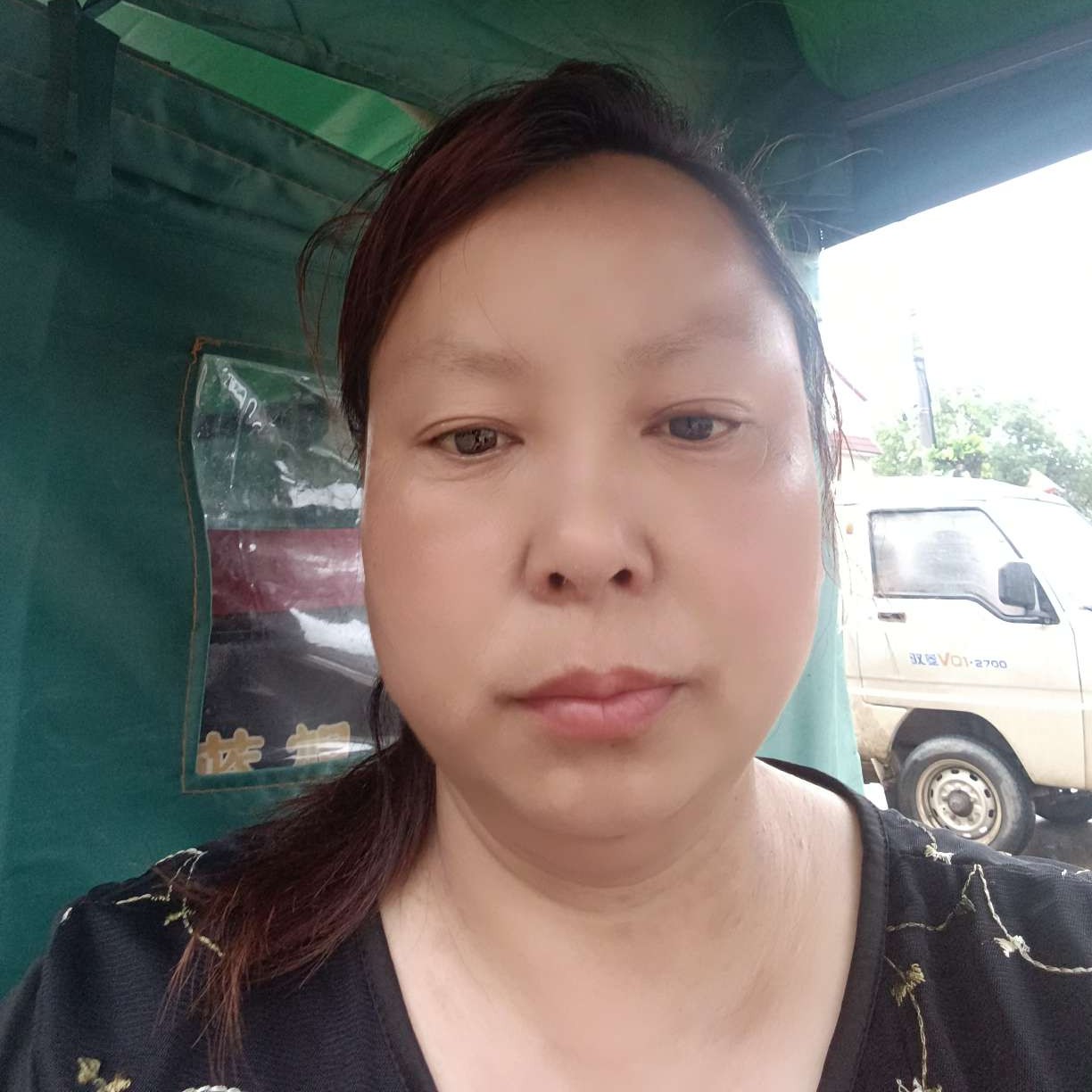 黄蜂方儒雅的照片
