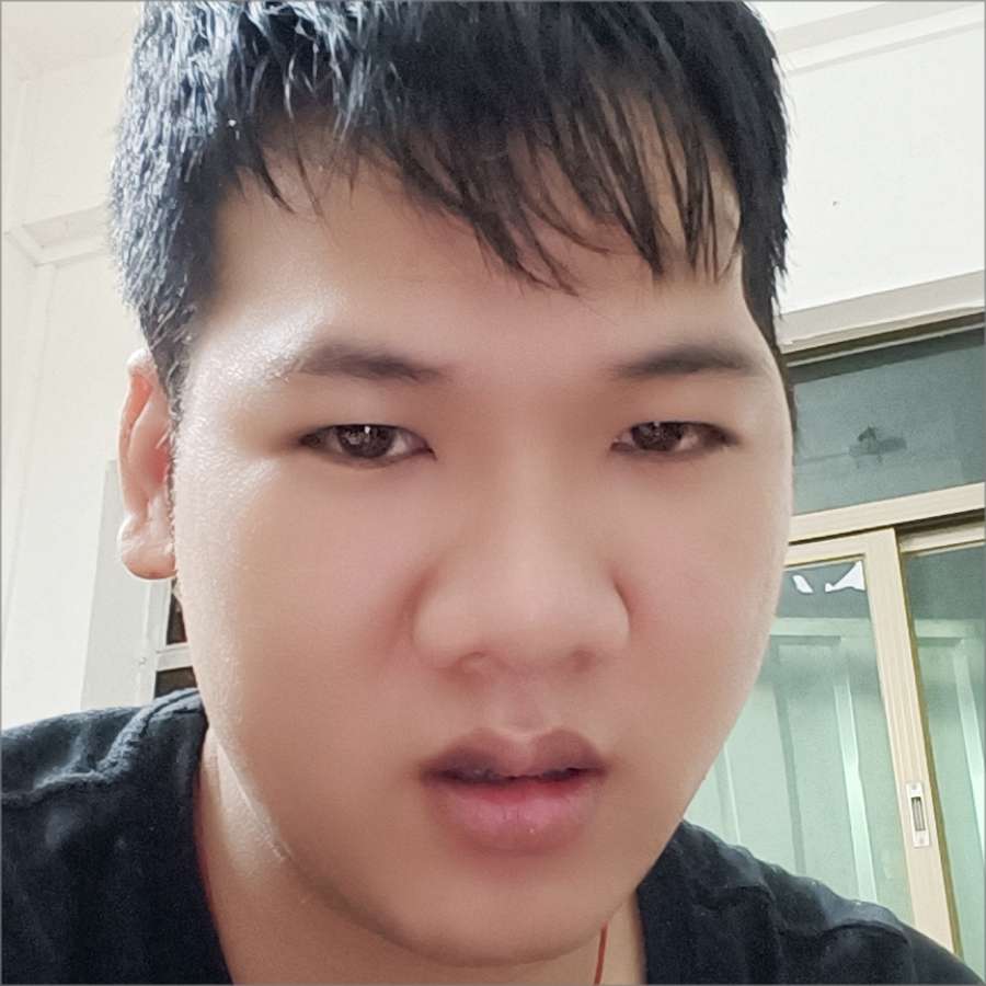 迷路扯斑马的照片
