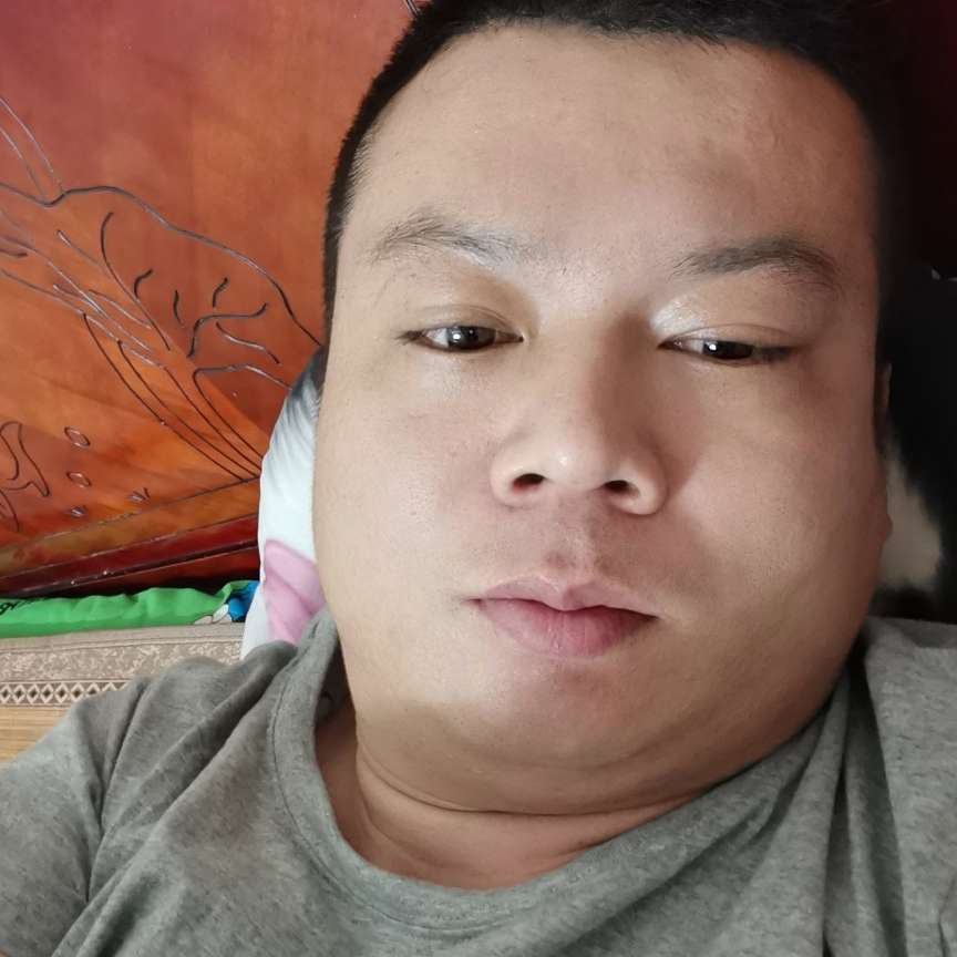 树叶郑磊愿真淳的照片