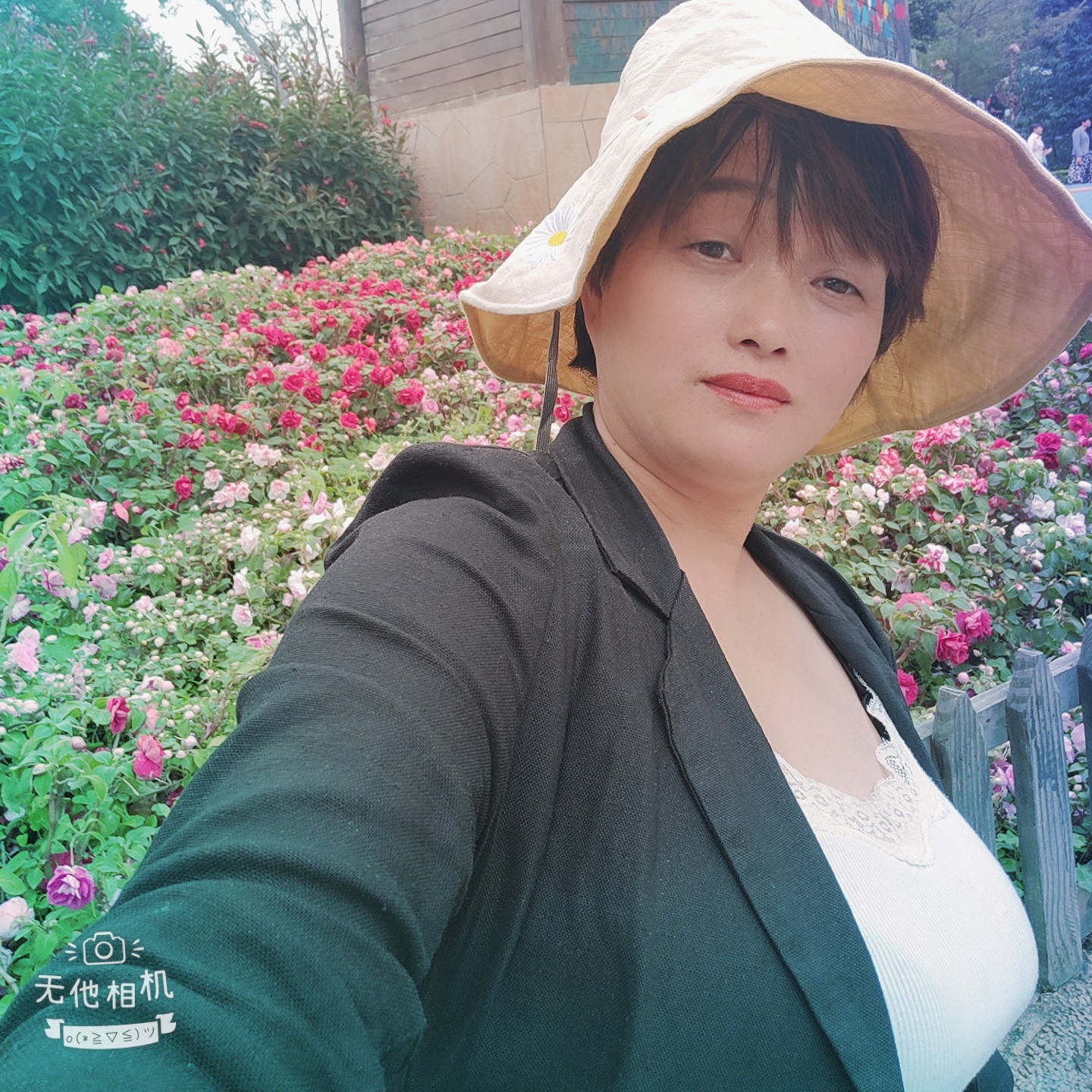 大雁相许朴素的照片