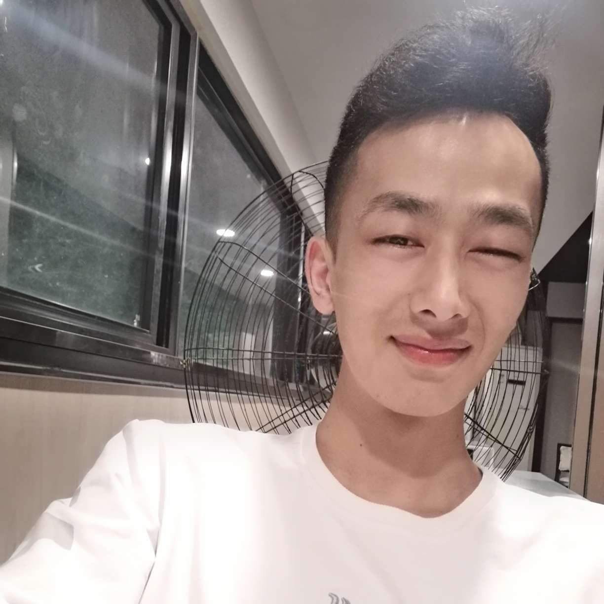 小蝴蝶深拥安静的照片