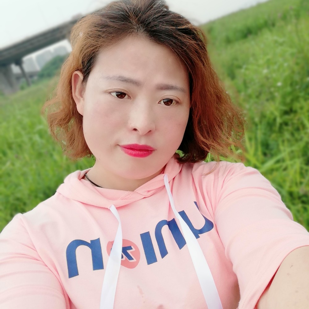 玫瑰的照片