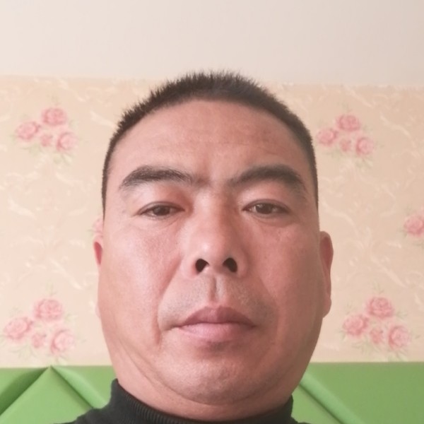 小海豚請糊涂的照片