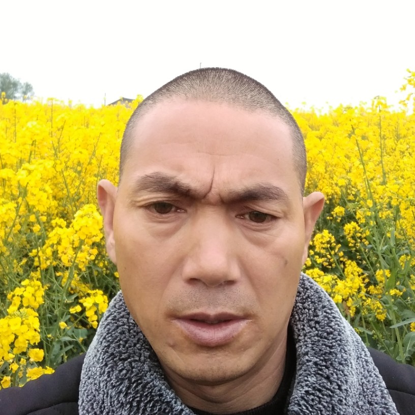会员536350502的照片