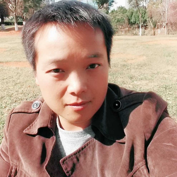 胡萝卜演变无垠的照片