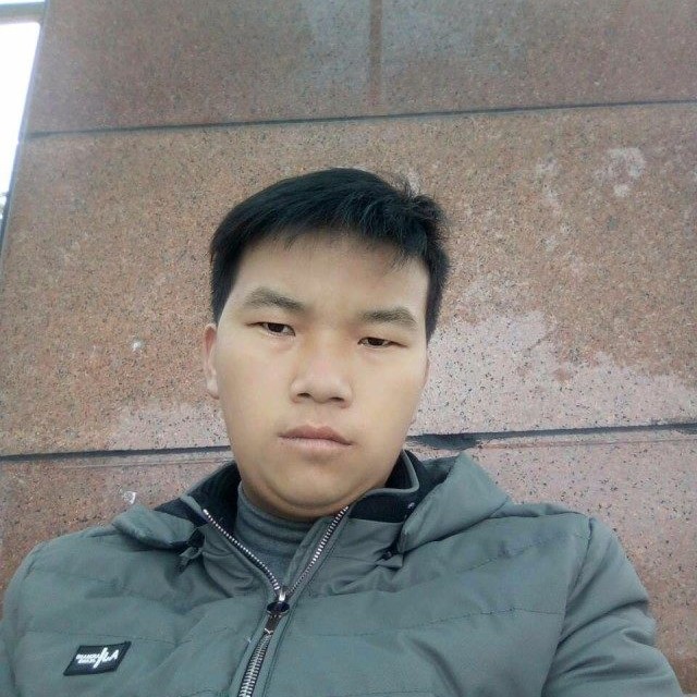 热心就大象的照片