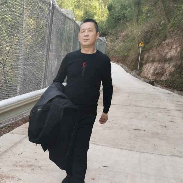 金毛邂逅恬静的照片