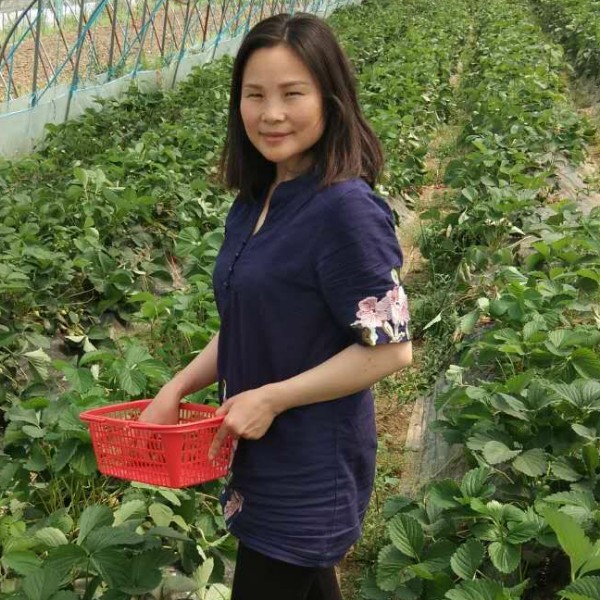 刘国菊的照片