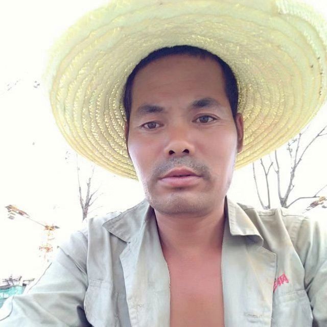 小鸭子用整齐的照片